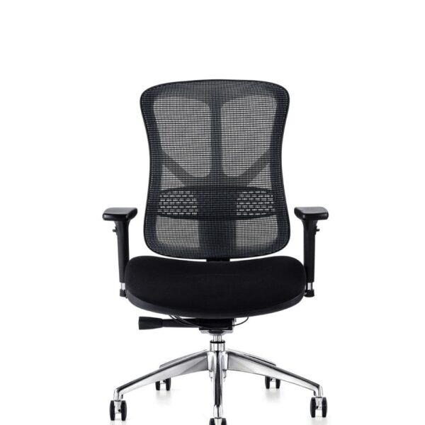 F94 Mesh Ergonomic Chair Front View