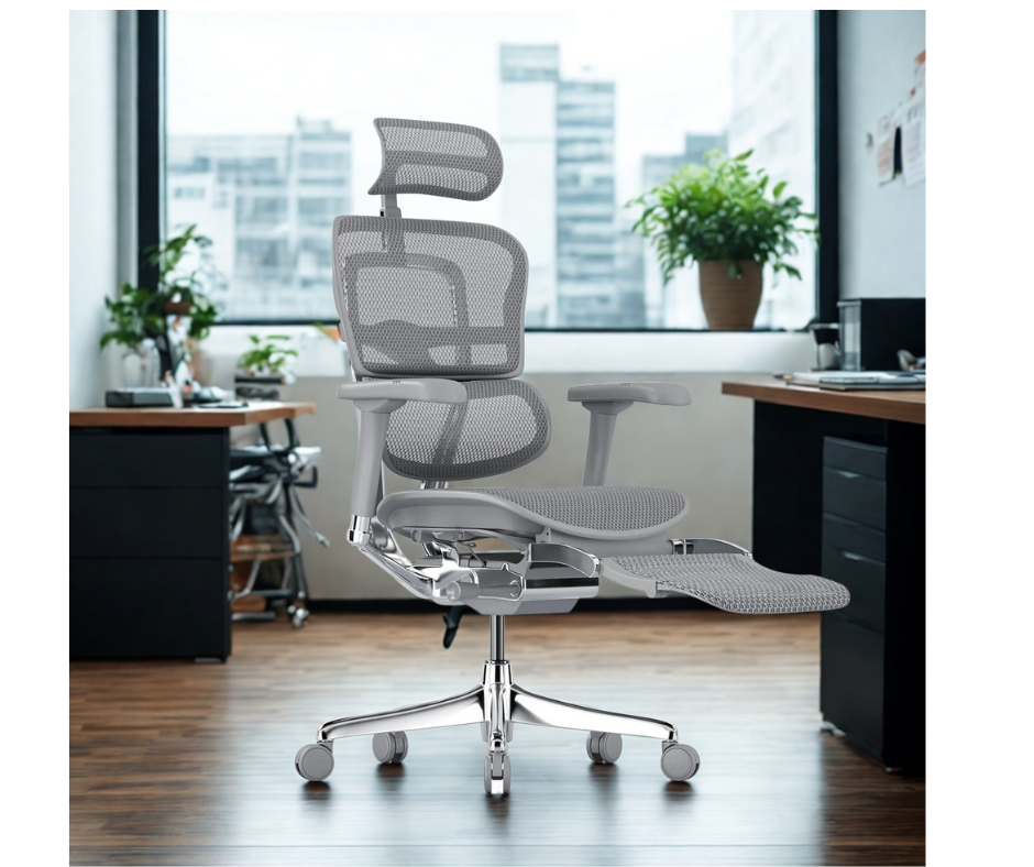 Ergohuman Elite Ergonomic Chair