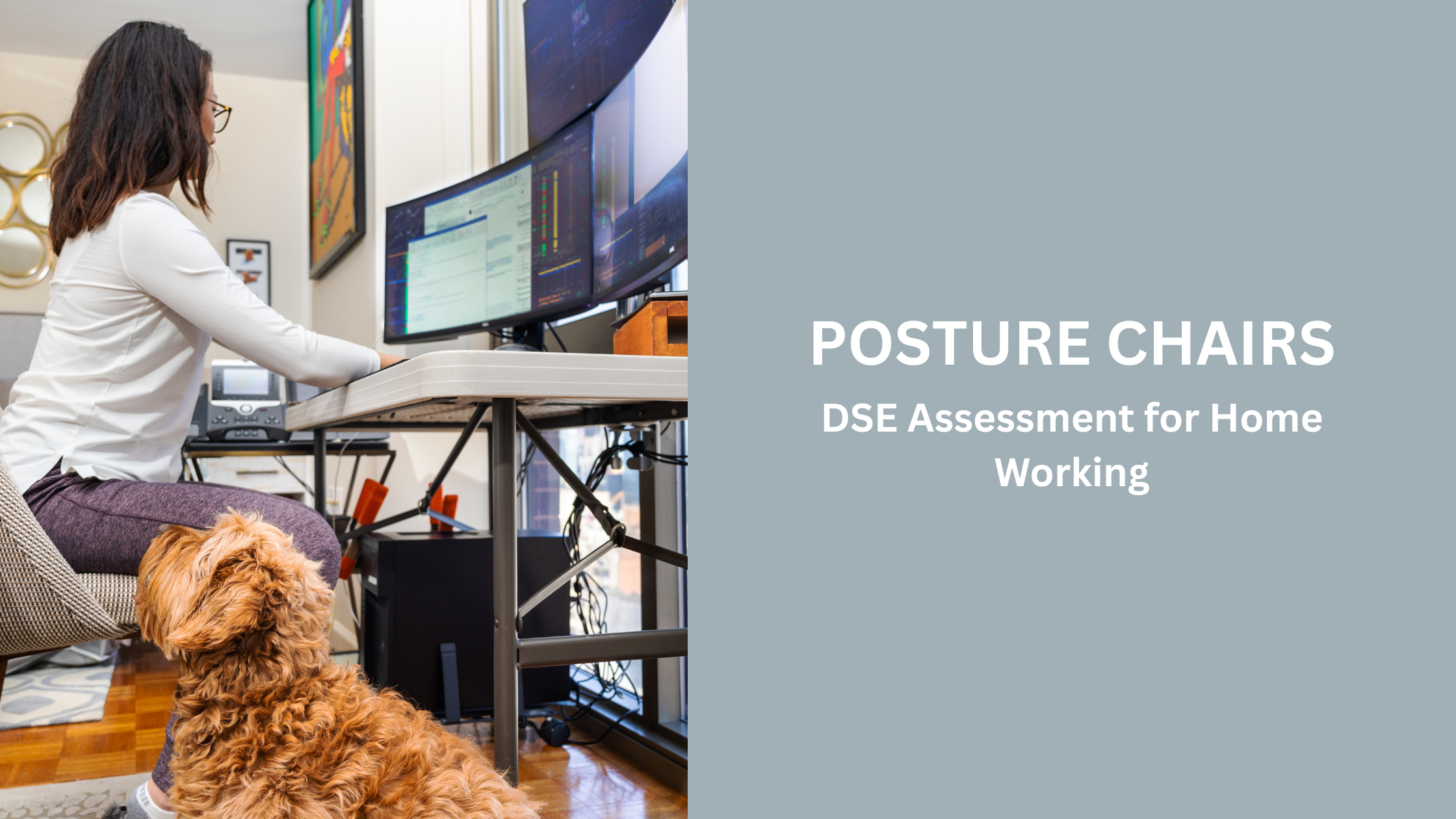 DSE Assessment for Home Working