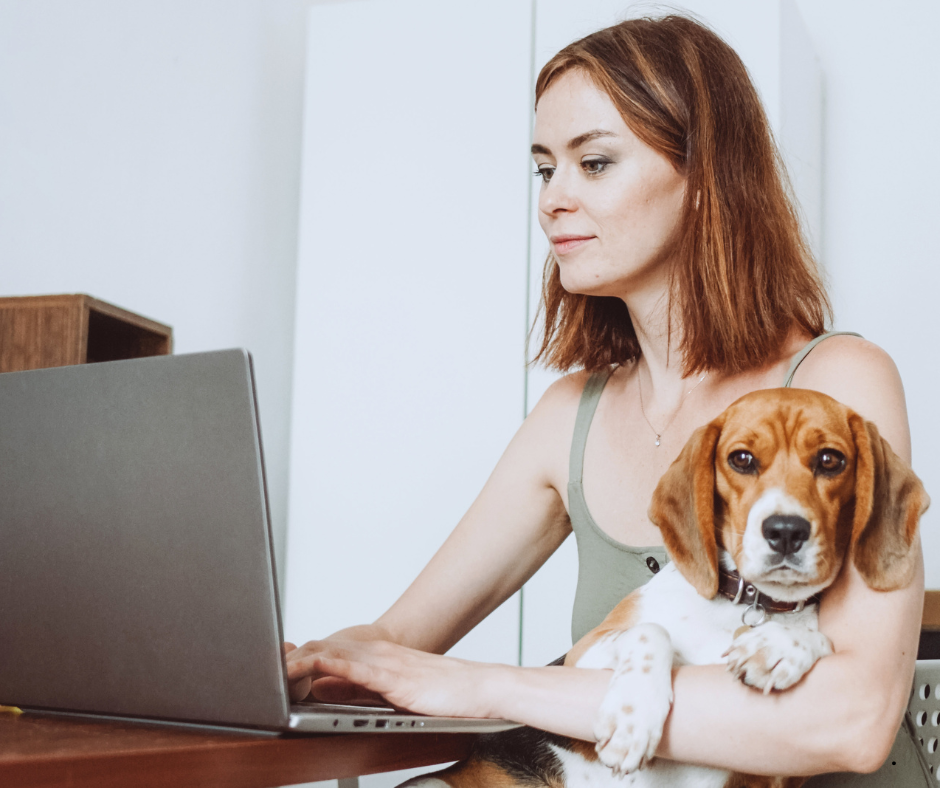 Virtual DSE Assessments